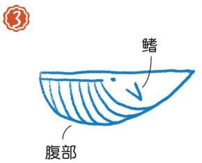 在海里的须鲸简笔画画法步骤03