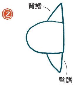海里的翻车鱼简笔画画法步骤02
