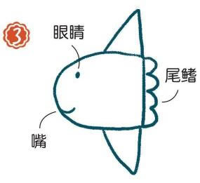 海里的翻车鱼简笔画画法步骤03