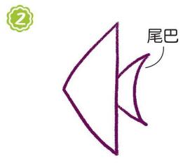鱼缸里的燕鱼简笔画画法步骤02