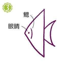 鱼缸里的燕鱼简笔画画法步骤03