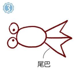 鱼缸里的金鱼简笔画画法步骤03