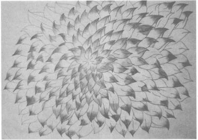设计素描节奏作品表现二