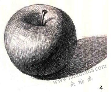 青苹果素描作画步骤04