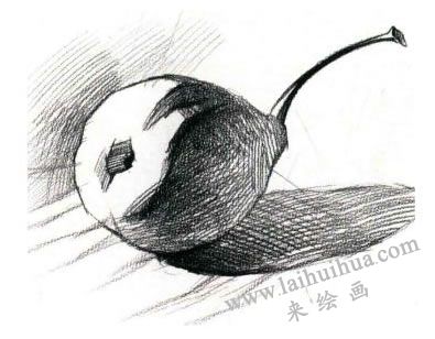 梨的素描画法步骤03