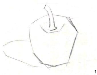 菜椒的素描画法步骤01