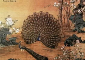 郎世宁《孔雀开屏图》