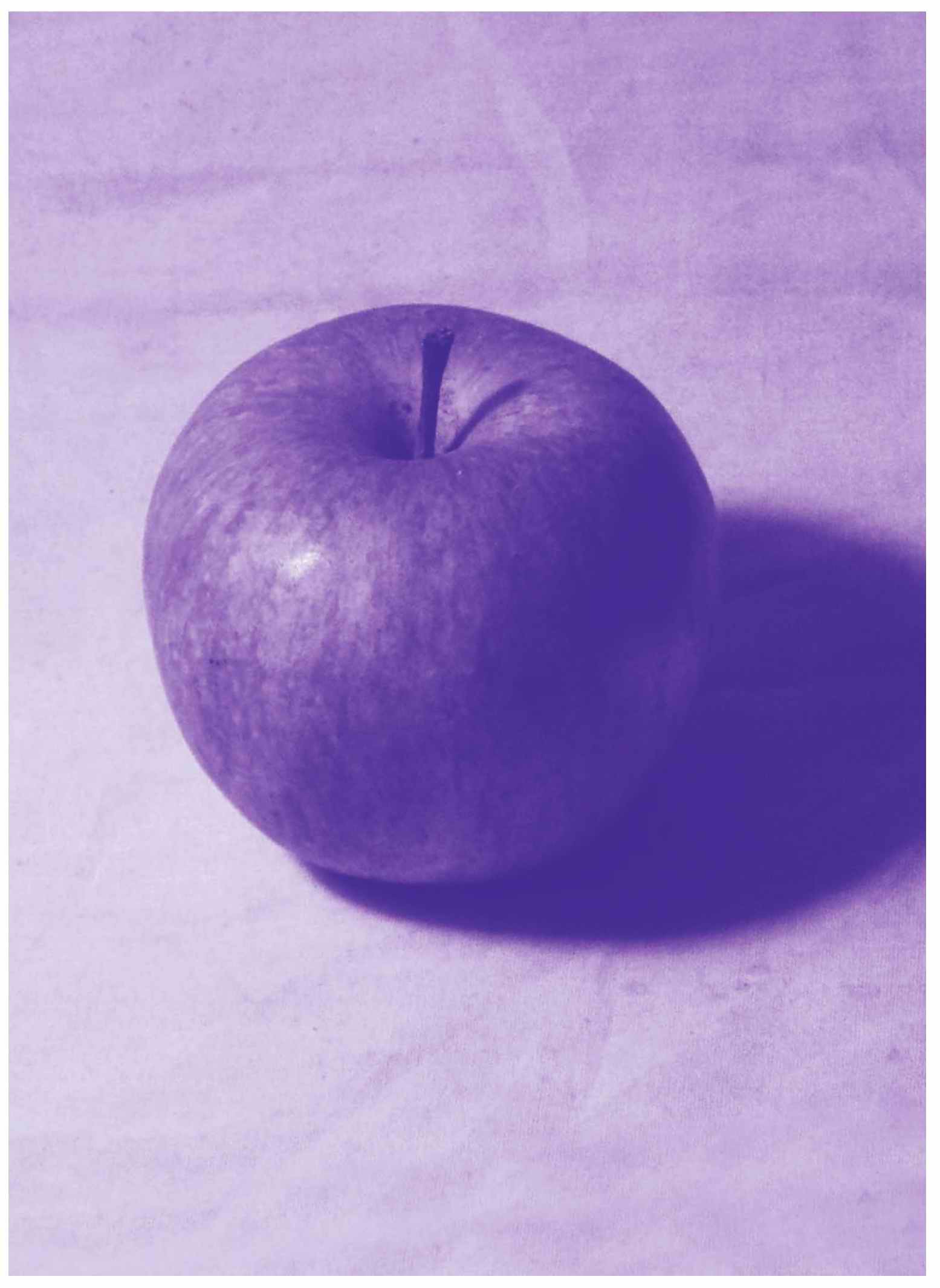 《苹果》结构素描