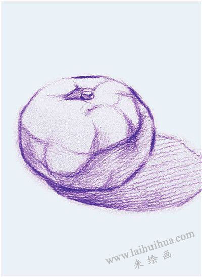《橘子》素描作画步骤01