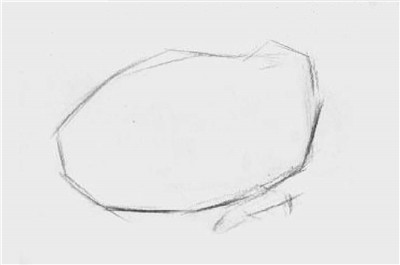 大白菜素描画法步骤01
