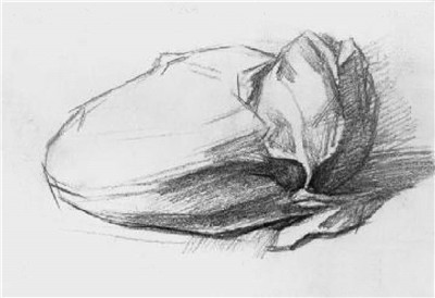 大白菜素描画法步骤04
