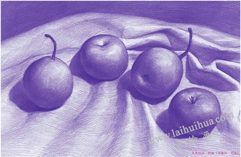 水果组合素描明暗画法