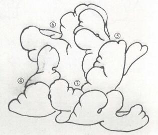 牡丹花白描步骤02