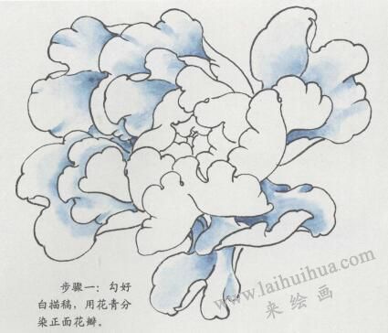 国画紫牡丹花画法步骤01
