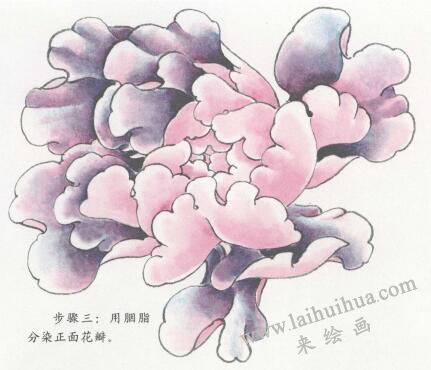 国画紫牡丹花画法步骤03