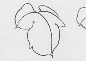 国画牡丹叶白描造型