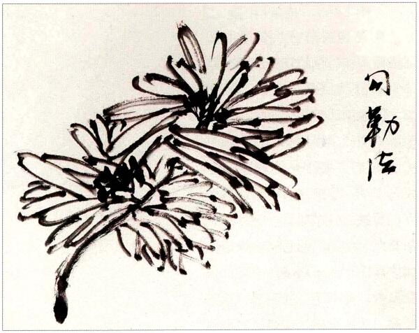 菊花勾勒法