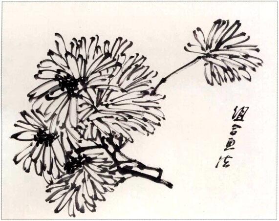 国画组合菊花花头画法