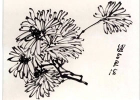 国画组合菊花花头画法