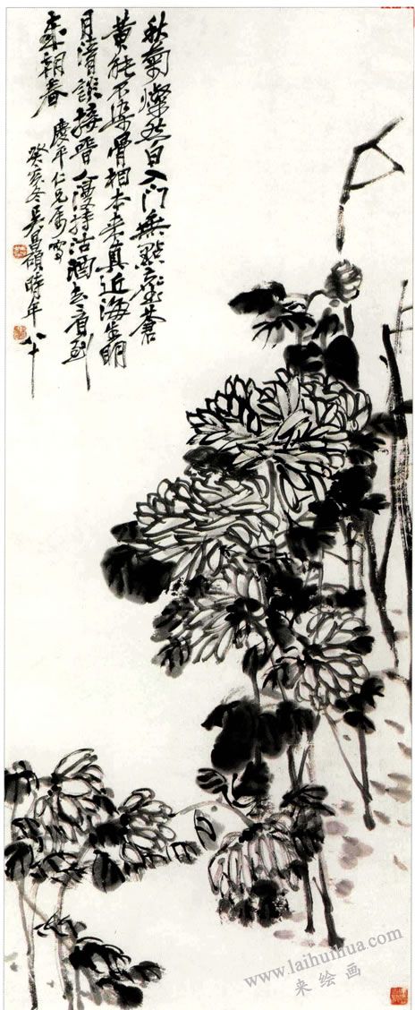 《墨菊》，吴昌硕
