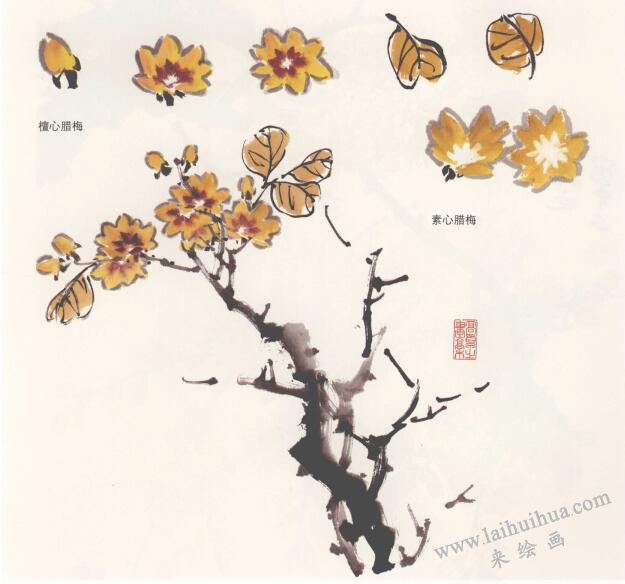 国画腊梅的画法