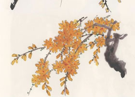 国画迎春花的画法