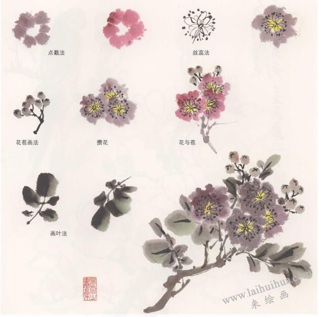 国画紫薇花的画法