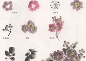 国画紫薇花的画法