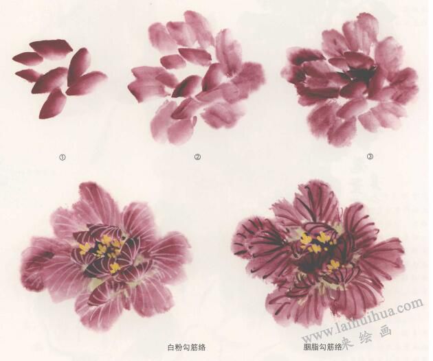 国画芙蓉花的画法