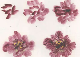 国画芙蓉花的画法