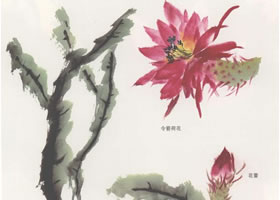 令箭荷花国画画法