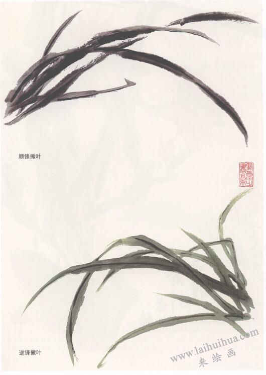 萱草花国画画法