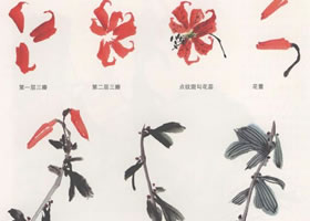 卷丹花国画画法