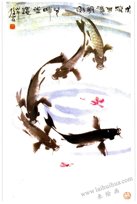 《鲤鱼》,张云鹤