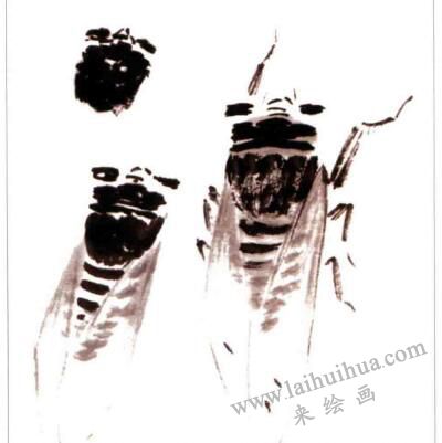 蝉的国画画法步骤01