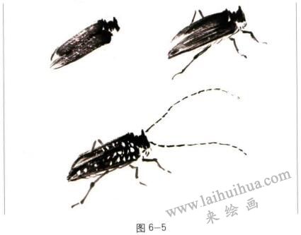 天牛的国画画法步骤01