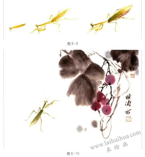 螳螂的国画画法步骤