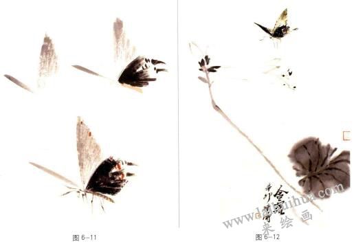 蝴蝶的国画画法步骤
