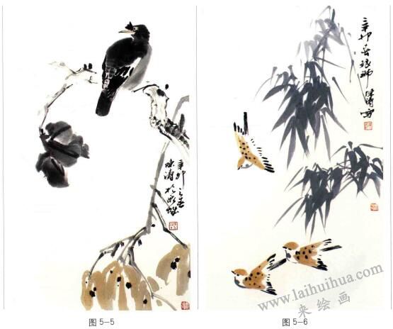 禽鸟国画八哥的画法步骤