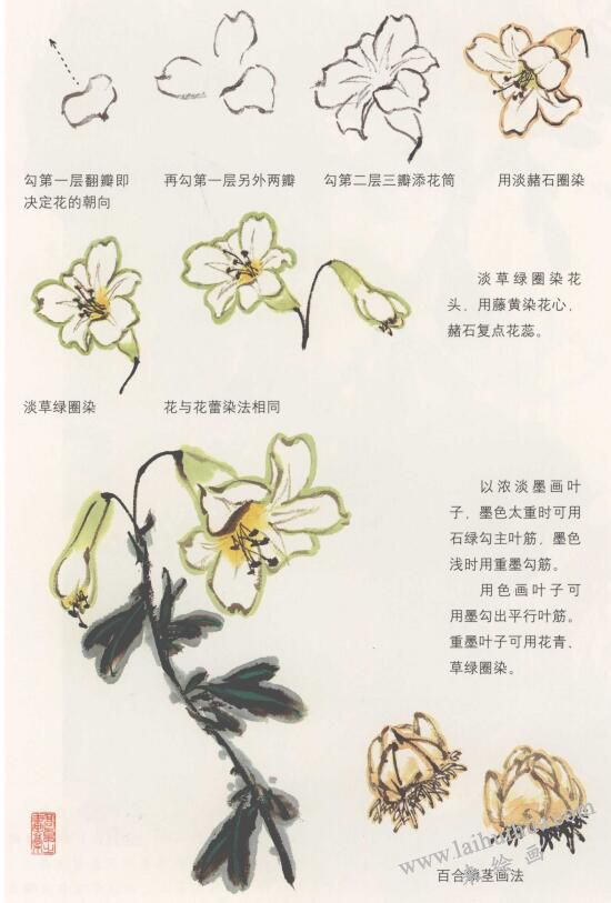 百合花国画画法