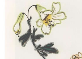 百合花国画画法
