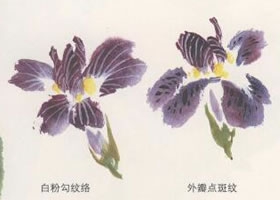 鸢尾花国画画法