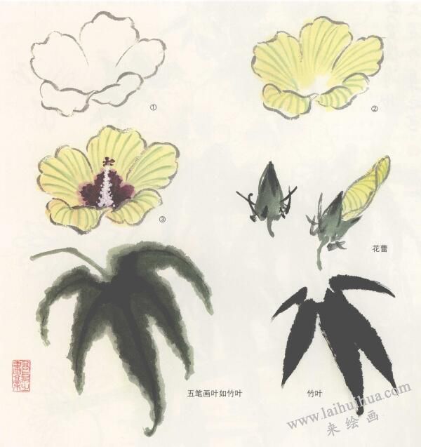 秋葵花国画画法，侧金盏国画画法