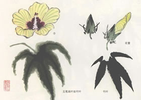 秋葵花国画画法
