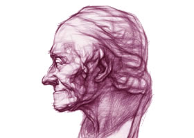 伏尔泰像结构素描画法