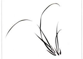 国画兰花：两丛兰叶的画法