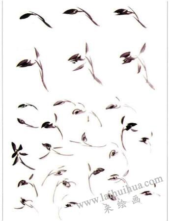 国画春兰花的画法01