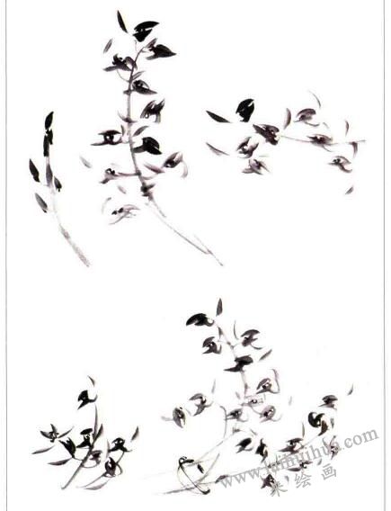 国画蕙兰花的画法01