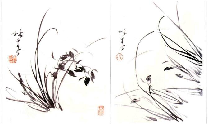 国画兰花的画法:叶丛添花