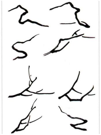 国画梅花之梅枝的画法
